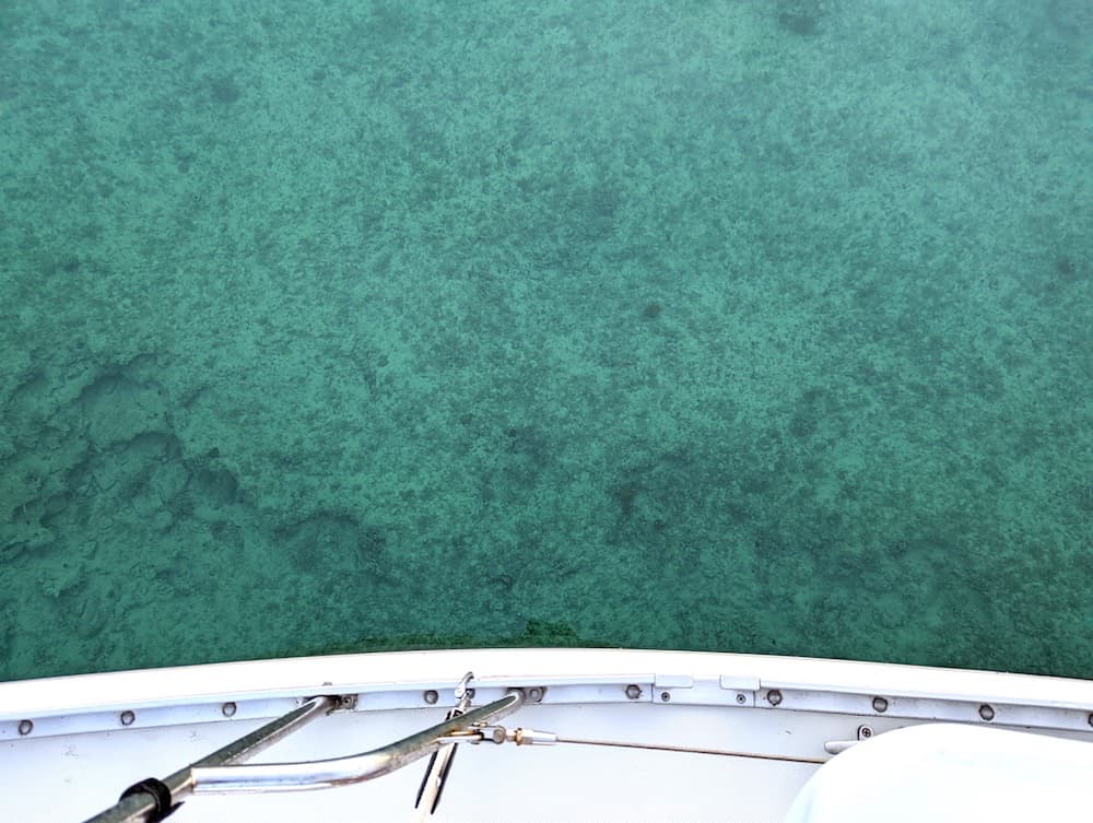 Sea bottom through clear turquoise water, Nassau, Bahamas.
